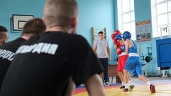  Учебно-методический сбор росгвардейцев нештатных инструкторов по рукопашному бою прошёл в Белгороде