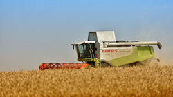 Белгородские фермеры собрали больше миллиона тонн зерна