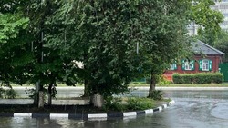 Синоптики спрогнозировали дожди в Белгородской области