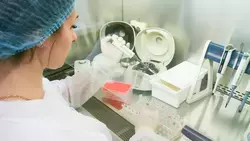 В Белгородской испытательной лаборатории ФГБУ «ВНИИЗЖ» подвели итоги мониторинга по африканской чуме