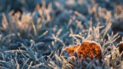 Температура воздуха опустится до 14 градусов мороза в Белгородской области