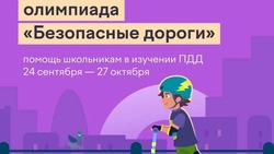 Юные жители Белгородского района могут принять участие в олимпиаде «Безопасные дороги»