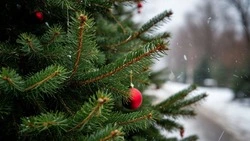 Синоптики предупредили белгородцев о сильном ветре и морозе