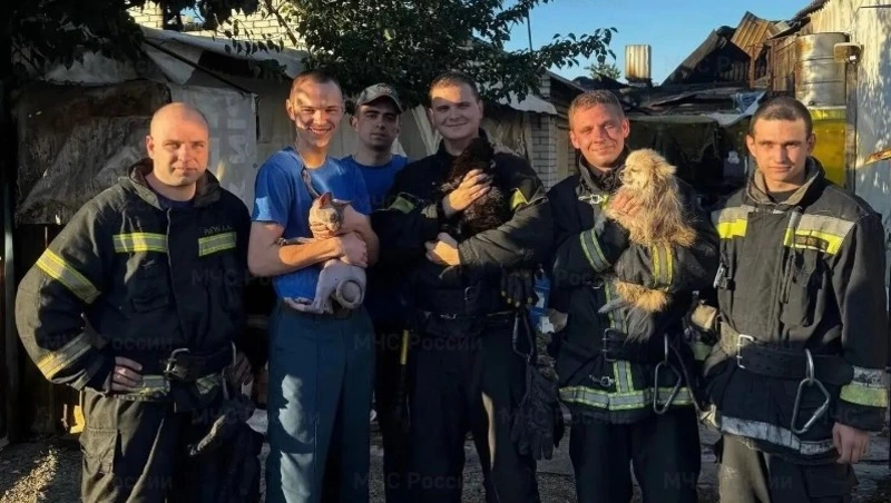 Белгородские пожарные спасли двух котов и собаку из огня