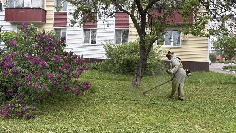 Специалисты продолжают улучшать территорию Белгородского муниципального округа
