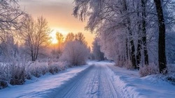 До 24 градусов мороза похолодает в Белгородской области 1 февраля