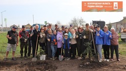 Аллея памяти появилась в селе Ближняя Игуменка Белгородского района