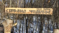 Путешествие в Чудубье