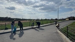 Всероссийский субботник в рамках Дня добровольного служения региону прошёл в Белгородском районе