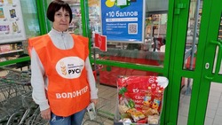 Организованная региональным отделением РКК акция «Корзина доброты» пройдёт в Белгороде