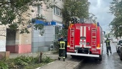 Житель Белгородской области погиб во время пожара в собственном доме