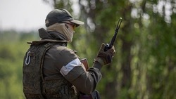 Вячеслав Гладков – о поддержке семей военнослужащих из Белгородской области