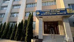 Белгородские спасатели присоединились к участию в акции «Окна Победы»