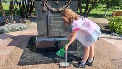 Волонтёры Дубовского поселения поучаствовали в субботнике