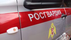 Белгородские росгвардейцы изъяли 19 единиц оружия за прошедшую неделю