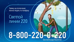 Белгородэнерго напомнило о правилах санитарной обрезки деревьев в охранных зонах ЛЭП