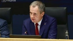 Вячеслав Гладков сообщил о поддержке крупных предприятий в 2025 году
