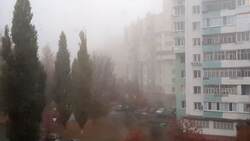Туманная погода сохранится в Белгороде 7 ноября