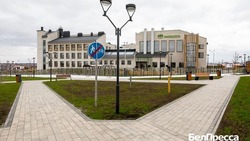 26 белгородских школ и детсадов были включены в федеральную программу капремонта и строительства