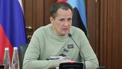 Вячеслав Гладков: «Все действия властей должны быть направлены на сохранение детских жизней»