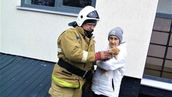 Белгородские огнеборцы помогли спасти бездомную кошку