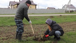 Большая уборка продолжается в поселениях Белгородского района
