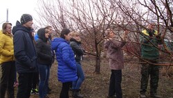 Ботанический сад НИУ «БелГУ» приглашает жителей региона в школу для садоводов-любителей