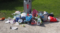 Жители Северного пожаловались на мусор на контейнерной площадке