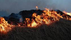 Сухая трава горела в Белгородской области