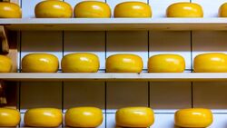 Двое губкинцев украли из магазина 8,5 килограммов сыра