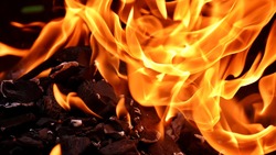 Два ребёнка погибли в результате пожаров с начала этого года в Белгородской области