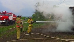Белгородские огнеборцы ликвидировали 36 пожаров на территории региона за минувшую неделю