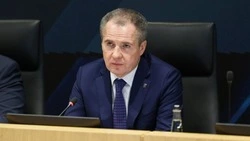 Вячеслав Гладков: 30 БПЛА атаковали Белгородский округ за сутки