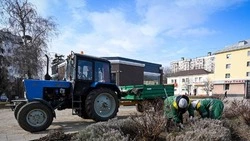 Белгородские озеленители начали приводить в порядок городские клумбы