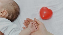 Вячеслав Гладков рассказал о промежуточных итогах по выплатам на рождение пятого ребёнка