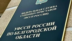 Заместитель главного судебного пристава Белгородской областипроведет приём граждан в Белгороде
