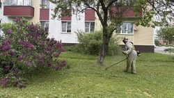 Специалисты продолжают улучшать территорию Белгородского муниципального округа