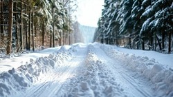 Татьяна Круглякова: 28 единиц техники и 104 человека участвуют в уборке снега в Белгородском районе