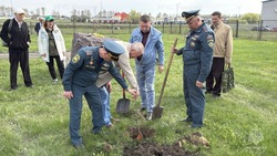 Белгородские спасатели высадили фруктовый сад в честь Дня пожарной охраны