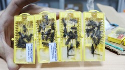 Пчеловоды Белгородской области получили «живые» посылки по почте