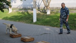 Сотрудники кинологической группы рассказали о своих хвостатых напарниках