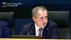 Вячеслав Гладков сообщил о ранении мирного жителя при атаке FPV-дрона в Грайвороне