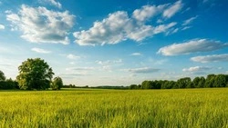 Управление Роспотребнадзора по Белгородской области ведёт еженедельный мониторинг укусов клещей