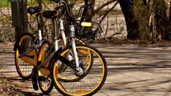Белгородец продал два арендованных велосипеда незнакомцу