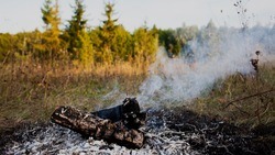 МЧС предупредило белгородцев о чрезвычайной пожароопасности на территории региона