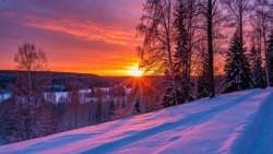 Морозная погода без осадков установится в Белгородской области 25 декабря