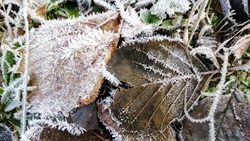 Снег с дождём и гололедица придут в Белгородскую область 17 ноября