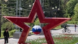 Белгородцы смогут поучаствовать во Всероссийской акции «Бессмертный полк России онлайн»