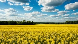 Управление Роспотребнадзора по Белгородской области напоминает о важности вакцинации детей летом
