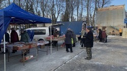 Традиционные ярмарки продолжились в Белгородском районе